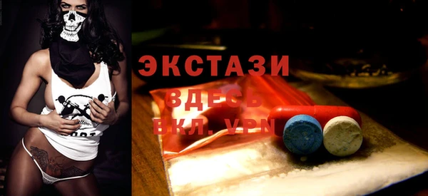 дживик Богородицк