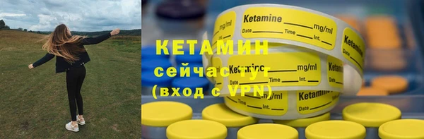дживик Богородицк