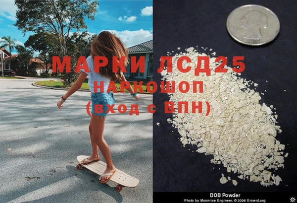 дживик Богородицк