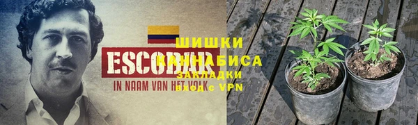 дживик Богородицк