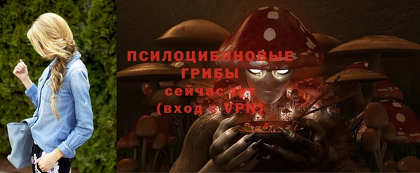 дживик Богородицк