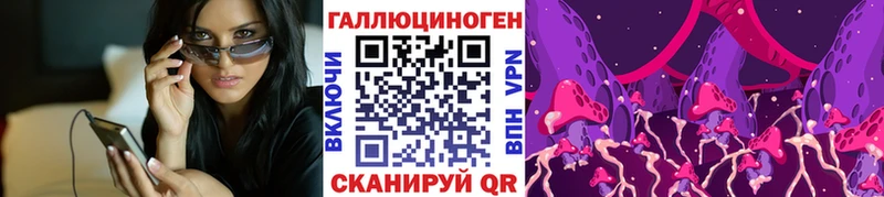 Псилоцибиновые грибы GOLDEN TEACHER  закладка  Буй 