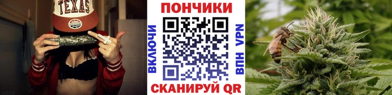как найти наркотики  мега онион  Марихуана Bruce Banner  Буй 